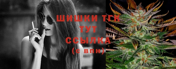 соль ск Бронницы
