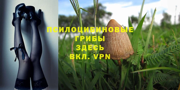 соль ск Бронницы