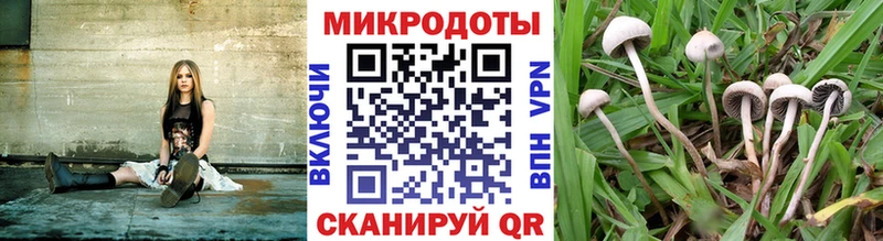 Купить закладки  Козловка  Галлюциногенные грибы мицелий 